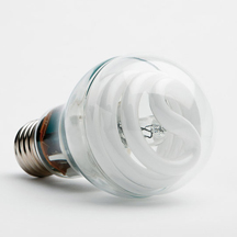 Halogen Light Bulb Halogen light