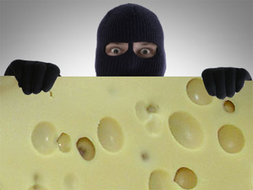 Protect Your Cheese!: 