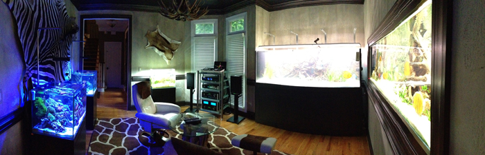 automated fish tank